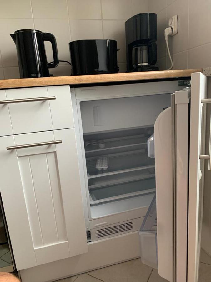 Apartament Zieleniec Stary Toruń Extérieur photo