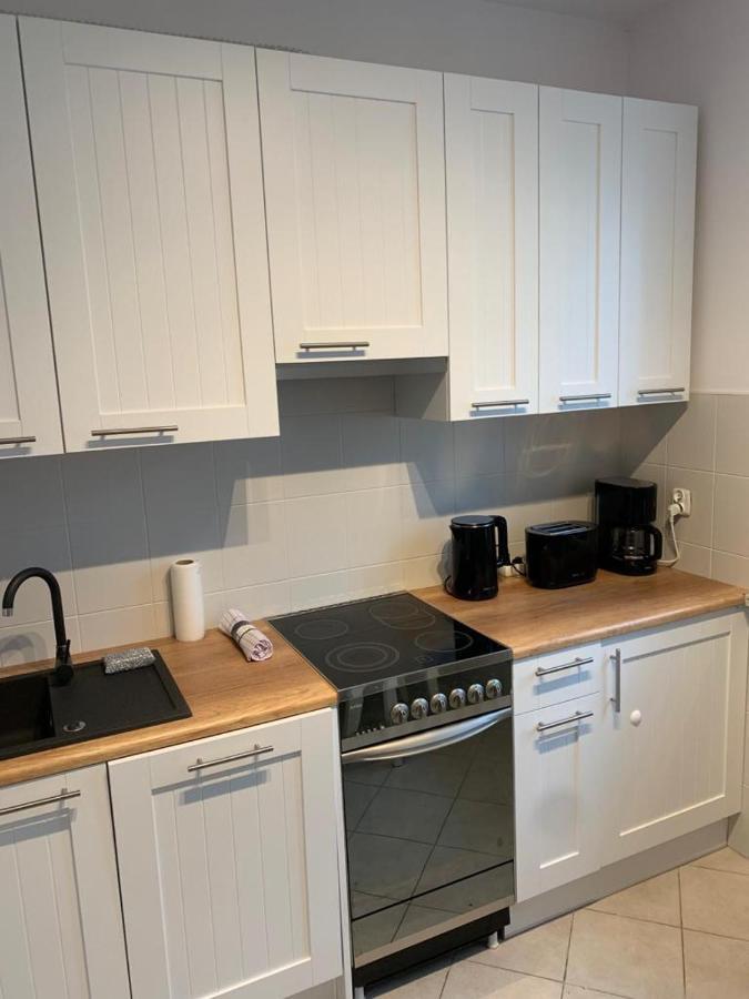 Apartament Zieleniec Stary Toruń Extérieur photo